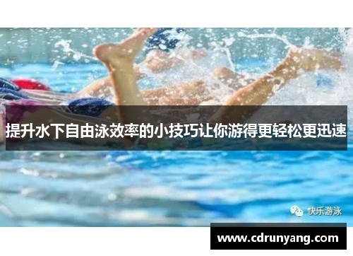 提升水下自由泳效率的小技巧让你游得更轻松更迅速